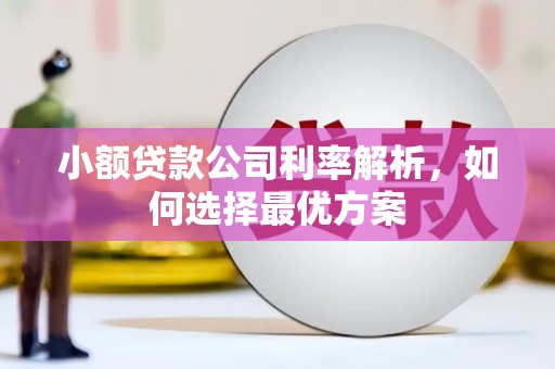 水林小额贷款公司利率解析，如何选择最优方案