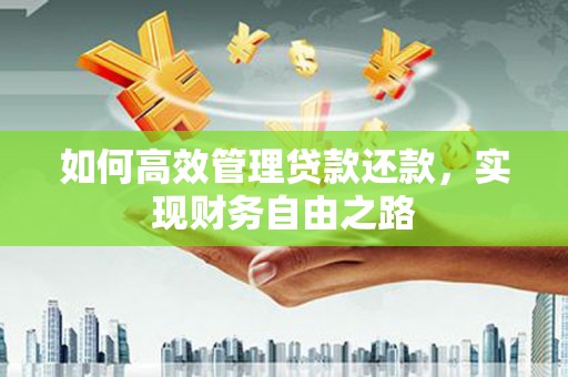 水林如何高效管理贷款还款，实现财务自由之路