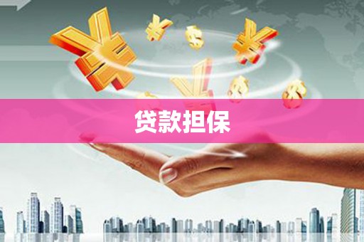 水林贷款担保