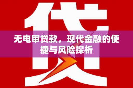 水林无电审贷款，现代金融的便捷与风险探析