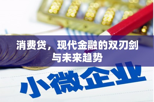 水林消费贷，现代金融的双刃剑与未来趋势