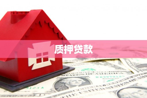 水林质押贷款
