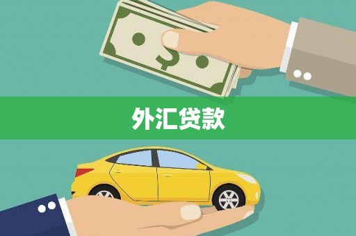 水林外汇贷款
