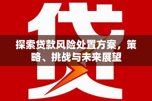 水林探索贷款风险处置方案，策略、挑战与未来展望
