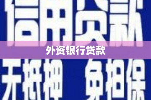 水林外资银行贷款
