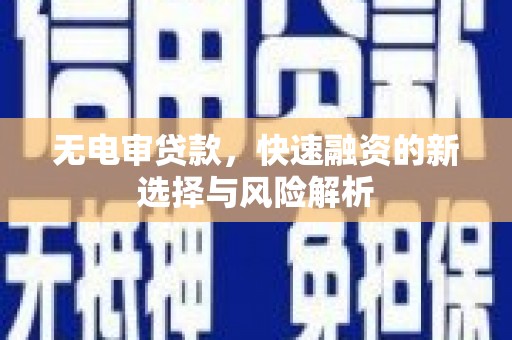 水林无电审贷款，快速融资的新选择与风险解析