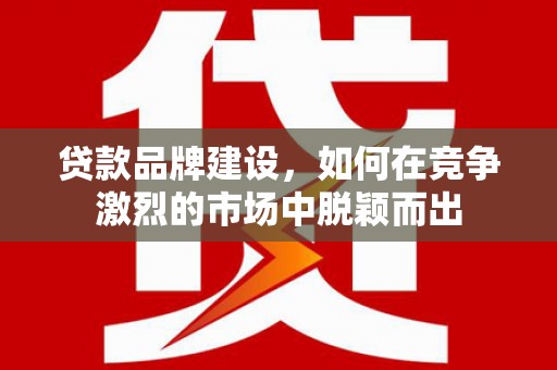 水林贷款品牌建设，如何在竞争激烈的市场中脱颖而出