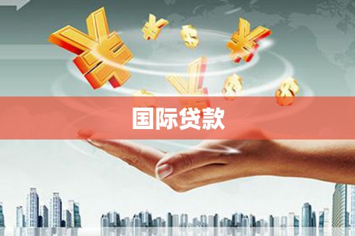 水林国际贷款