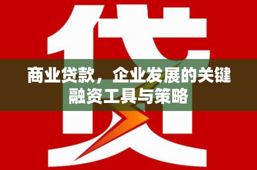 水林商业贷款，企业发展的关键融资工具与策略