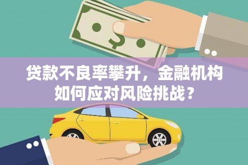 水林贷款不良率攀升，金融机构如何应对风险挑战？