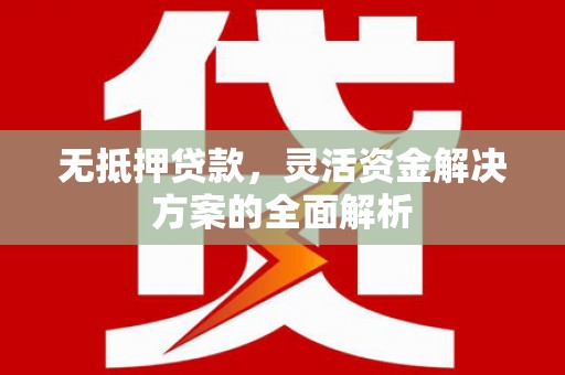 水林无抵押贷款，灵活资金解决方案的全面解析