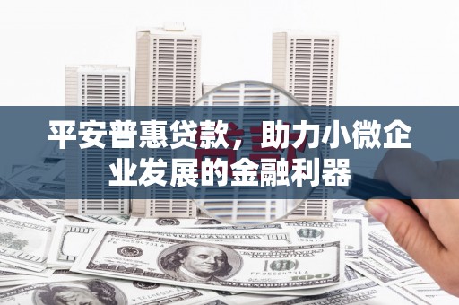 水林平安普惠贷款，助力小微企业发展的金融利器