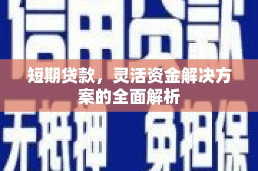 水林短期贷款，灵活资金解决方案的全面解析