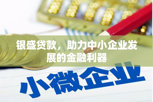 水林银盛贷款，助力中小企业发展的金融利器
