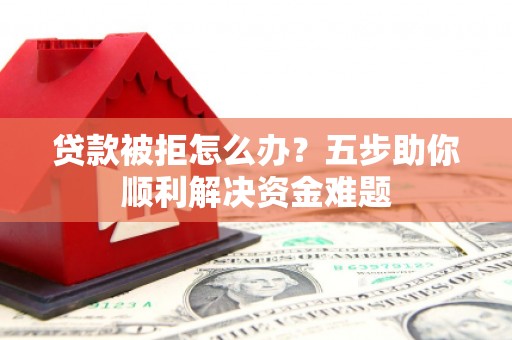 水林贷款被拒怎么办？五步助你顺利解决资金难题