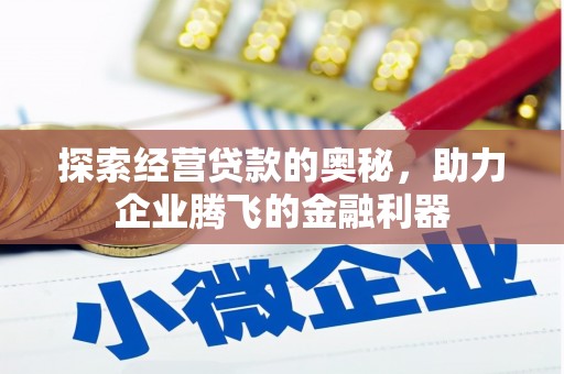 水林探索经营贷款的奥秘，助力企业腾飞的金融利器