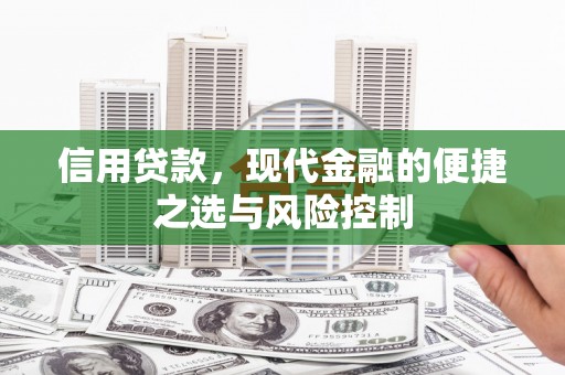 水林信用贷款，现代金融的便捷之选与风险控制