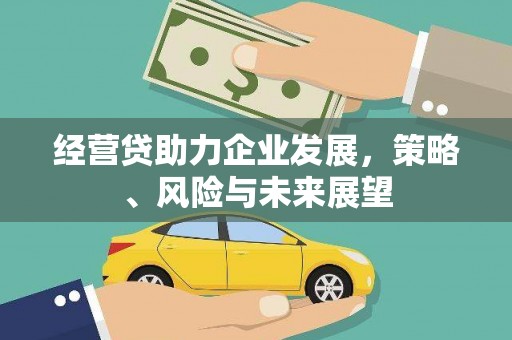 水林经营贷助力企业发展，策略、风险与未来展望