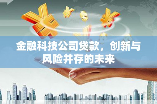 水林金融科技公司贷款，创新与风险并存的未来