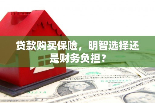 水林贷款购买保险，明智选择还是财务负担？