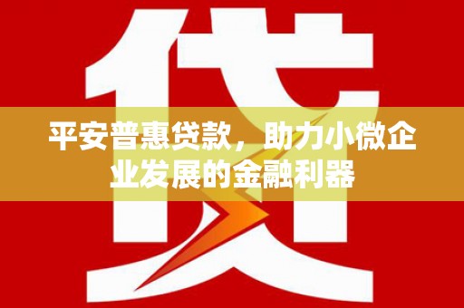 水林平安普惠贷款，助力小微企业发展的金融利器