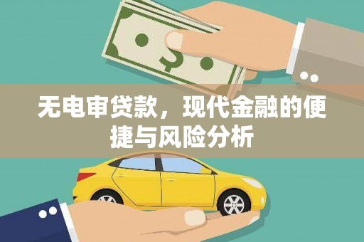 水林无电审贷款，现代金融的便捷与风险分析