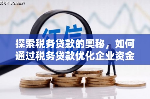 水林探索税务贷款的奥秘，如何通过税务贷款优化企业资金流