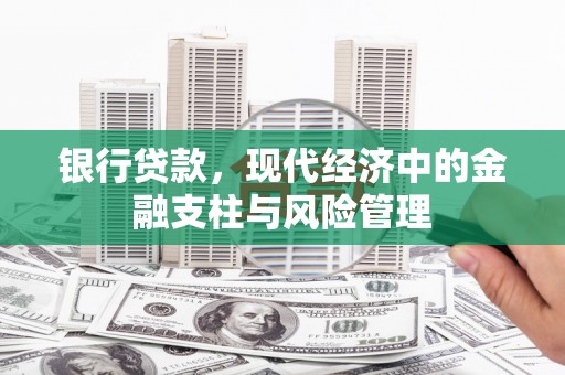 水林银行贷款，现代经济中的金融支柱与风险管理