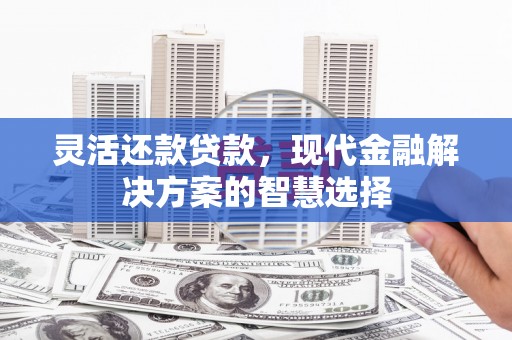 水林灵活还款贷款，现代金融解决方案的智慧选择