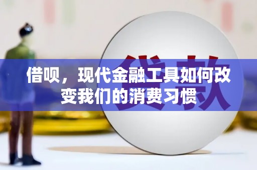 水林借呗，现代金融工具如何改变我们的消费习惯