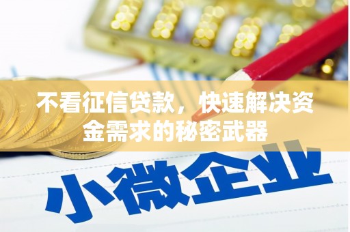 水林不看征信贷款，快速解决资金需求的秘密武器