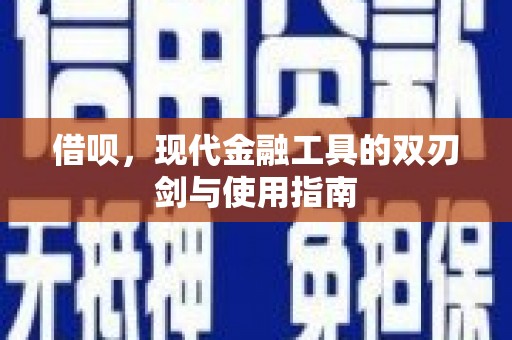 水林借呗，现代金融工具的双刃剑与使用指南