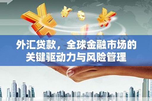 水林外汇贷款，全球金融市场的关键驱动力与风险管理