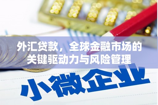 水林外汇贷款，全球金融市场的关键驱动力与风险管理