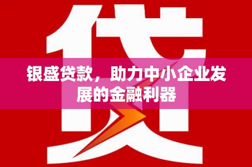 水林银盛贷款，助力中小企业发展的金融利器