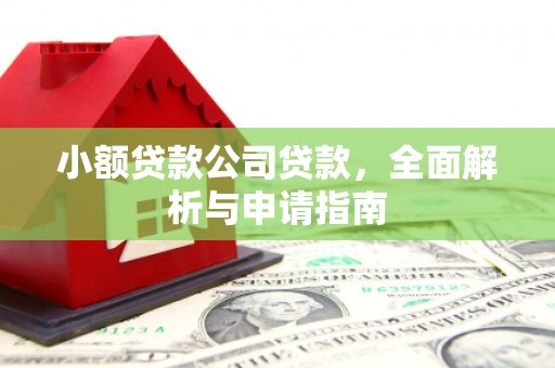 水林小额贷款公司贷款，全面解析与申请指南