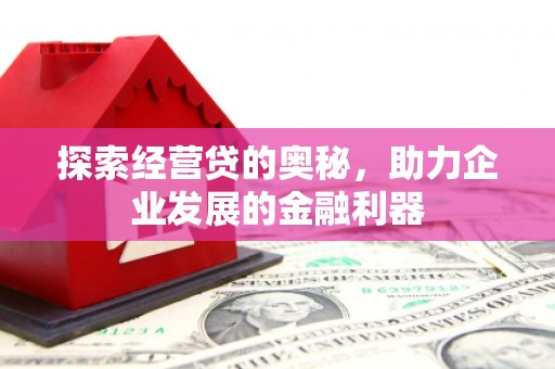 水林探索经营贷的奥秘，助力企业发展的金融利器