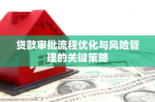 水林贷款审批流程优化与风险管理的关键策略