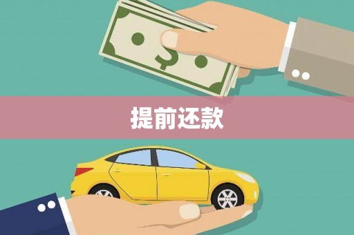 水林提前还款