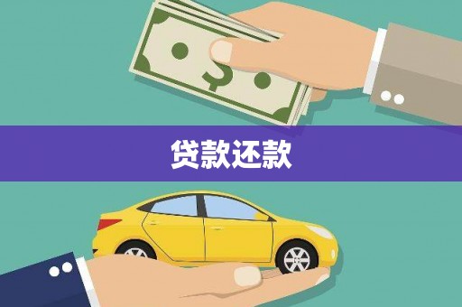 水林贷款还款