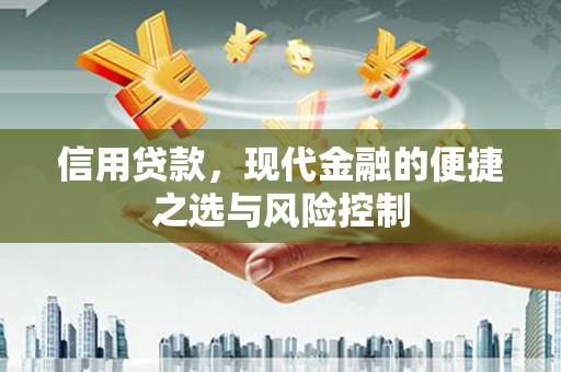 水林信用贷款，现代金融的便捷之选与风险控制