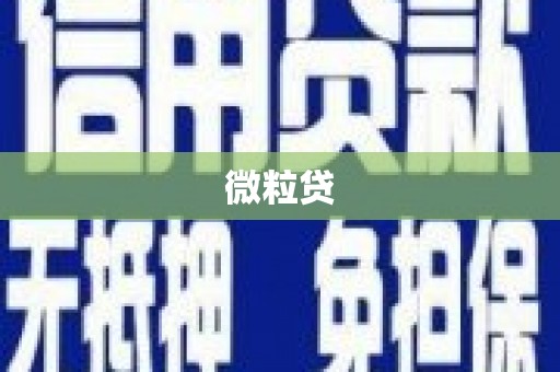 水林微粒贷