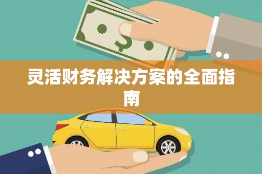 水林灵活财务解决方案的全面指南