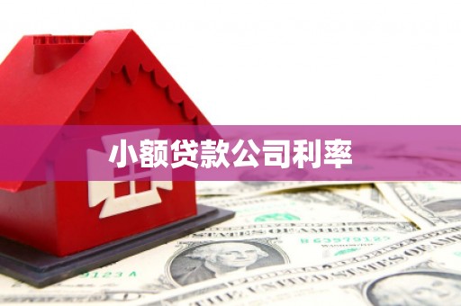 水林小额贷款公司利率