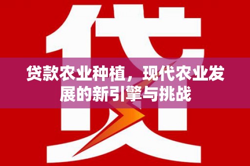 水林贷款农业种植，现代农业发展的新引擎与挑战
