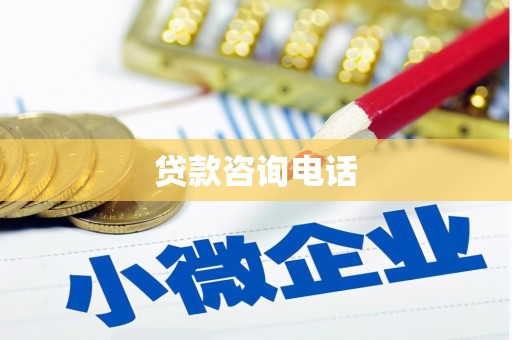 水林贷款咨询电话
