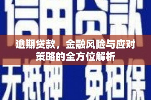 水林逾期贷款，金融风险与应对策略的全方位解析