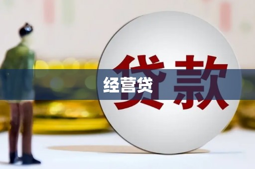 水林经营贷
