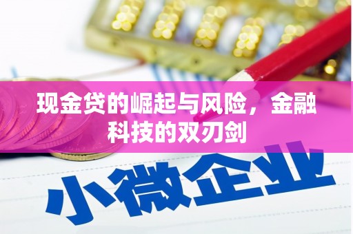 水林现金贷的崛起与风险，金融科技的双刃剑