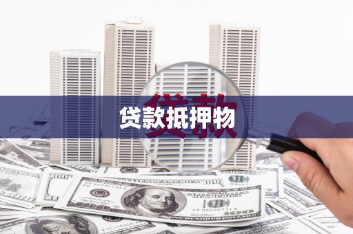 水林贷款抵押物